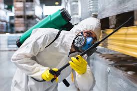 Best Fumigation Services  in New River, AZ